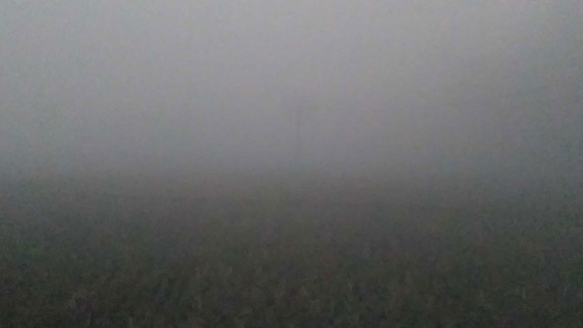 ছবি: মুরাদ আহমেদ।