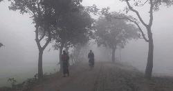 আজ সিরাজগঞ্জে দেশের সর্বনিম্ন তাপমাত্রা