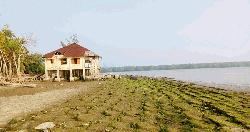 সাগরে বিলীন হওয়ার পথে সুন্দরবনের পর্যটন কেন্দ্র কটকা