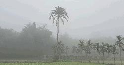 তীব্র শীতে বিপর্যস্ত উত্তরাঞ্চল, বইছে শৈত্য প্রবাহ