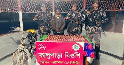 নওগাঁ সীমান্তে ট্যাপেন্টাডল ট্যাবলেটসহ মাদককারবারি আটক