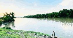 বাংলাদেশ-মিয়ানমার সীমান্তের ওপারে ফের গোলাগুলি    
