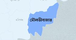 কৃষকের ঘামে ফলানো সবজি বিক্রি হয় পানির দরে