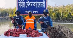 সুন্দরবনে হরিণের মাংসসহ ৪ হাজার মিটার ফাঁদ জব্দ