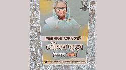 চাটমোহরে নিষিদ্ধ ঘোষিত ছাত্রলীগের নির্বাচন বিরোধী পোস্টারিং