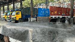 বেনাপোলে মিথ্যা ঘোষণায় আমদানি করা ইলিশের চালান জব্দ