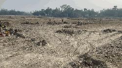 জলঢাকায় কৃষি জমির মাটি যাচ্ছে ইটের ভাটায়
