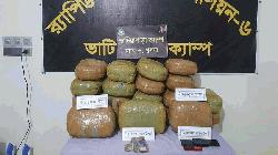 বিপুল পরিমাণ গাঁজাসহ দুই মাদক ব্যবসায়ী আটক