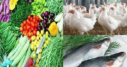 সবজির দাম কমলেও বেড়েছে ব্রয়লার মুরগির