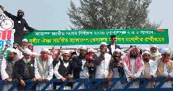 পেশি শক্তির মাধ্যমে ভোট ছিনিয়ে নিতে চাইলে প্রতিহত করা হবে: মামুনুল হক