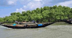 সুন্দরবনের শুঁটকিপল্লী থেকে ৬ জেলেকে অপহরণ