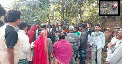 খাসির মাংসের নামে কুকুরের মাংস বিক্রি