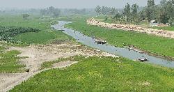 উত্তাল নদী এখন ফসলের মাঠ