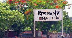 হাকিমপুরে মাদকসহ গ্রেপ্তার ৮