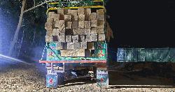 দীঘিনালায় অবৈধ গোদা কাঠ জব্দ