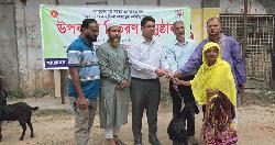 ভিক্ষাবৃত্তি রোধে মনোহরদীতে ২৭ জনকে ছাগল উপহার