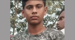নওগাঁয় সাপের কামড়ে ছাত্রের মৃত্যু