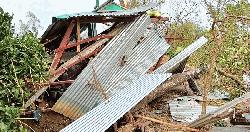নালিতাবাড়ীতে হঠাৎ ঝড়-শিলাবৃষ্টিতে ব্যাপক ক্ষয়ক্ষতি 