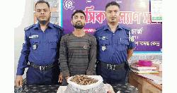 লালমোহনে গাঁজাসহ যুবক আটক