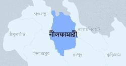 বিয়ের আসরে মালা পরানোকে কেন্দ্র করে সংঘর্ষ, বর আটক