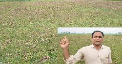 হালুয়াঘাটে সেচের সংযোগ বিচ্ছিন্ন করায় ফসল উৎপাদন বন্ধ