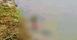 কেন্দুয়ায় নদীতে ভেসে এলো নবজাতকের মরদেহ