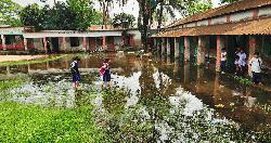 ঝিনাইগাতীতে সামান্য বৃষ্টিতেই বিদ্যালয়ের মাঠে জলাবদ্ধতা