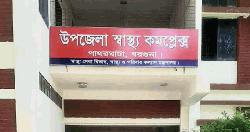 পাথরঘাটায় কুকুরের কামড়ে আহত ১১, ভ্যাকসিন সংকটে ভোগান্তি