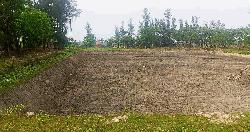 রামগতিতে খাস জমি থেকে মাটি বিক্রির মহোৎসব