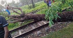 বৈরী আবহাওয়ার কারণে নোয়াখালী-ঢাকা ট্রেন চলাচলে অচলাবস্থা