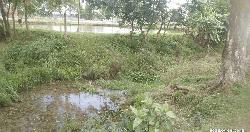 খালের ওপর কালভার্টের অভাবে কেন্দুয়ায় দুর্ভোগ, নির্মাণের দাবি