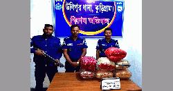 উলিপুরে সাড়ে ২৭ কেজি গাঁজা জব্দ