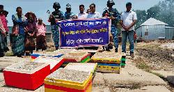 পদ্মায় জাটকা সংরক্ষণে অভিযান, জাটকা ইলিশ ও জাল জব্দ