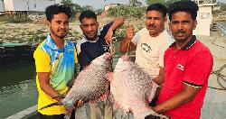 পদ্মার দুই কাতলের দাম ৯৬ হাজার টাকা
