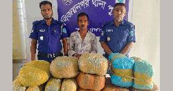 বিজয়নগরে ২৬ কেজি গাঁজাসহ মাদক কারবারি গ্রেফতার