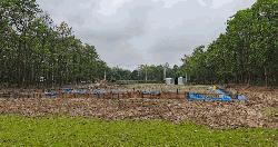ভাওয়াল জাতীয় উদ্যানে এসটিএস নির্মাণ কার্যক্রমে হাইকোর্টের নিষেধাজ্ঞা
