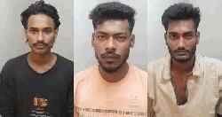 কালীগঞ্জে পৃথক অভিযানে ইয়াবাসহ গ্রেফতার ৩