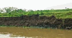কুশিয়ারা–কালনী নদী থেকে বালু উত্তোলন: হুমকির মুখে বাঁধ ও ফসলি জমি
