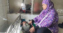 চরফ্যাশন হাসপাতালে তিন মাসের কন্যাশিশুকে রেখে নিখোঁজ মা