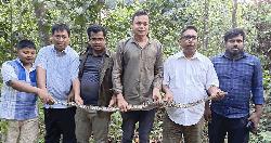 রান্নাঘর থেকে উদ্ধার হওয়া অজগর কাপ্তাই ন্যাশনাল পার্কে অবমুক্ত