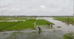 খুলনায় জলাবদ্ধতার ১৫ কারণ