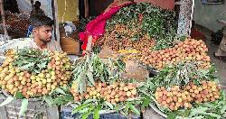 ব্রাহ্মণবাড়িয়ায় মৌসুমের আগেই বাজারে লিচু: স্বাদ কম, স্বাস্থ্যঝুঁকি বেশি