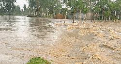 পাহাড়ি ঢলে শেরপুরের নদ-নদীর পানি বৃদ্ধি, বন্যা আতঙ্ক