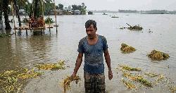 হবিগঞ্জে অকাল বন্যায় ৩৪০ কোটি টাকার ফসলহানি, দিশেহারা কৃষক