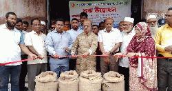 আত্রাইয়ে ধান, চাল ও গম ক্রয় কার্যক্রমের উদ্বোধন