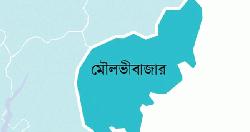 কুলাউড়ায় সিএনজির ধাক্কায় বিদ্যুৎ বিভাগের ৩ কর্মচারী আহত