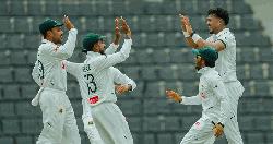 লিড পেল টাইগাররা