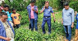 আমতলীতে ধানক্ষেত থেকে অজ্ঞাত নারীর মরদেহ উদ্ধার