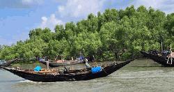 পূর্ব সুন্দরবনে ট্রলারসহ ১২ জেলেকে অপহরণ
