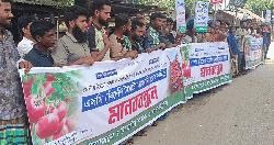 টমেটো আমদানি বন্ধের দাবিতে পঞ্চগড়ে মানববন্ধন, চাষিদের হাহাকার